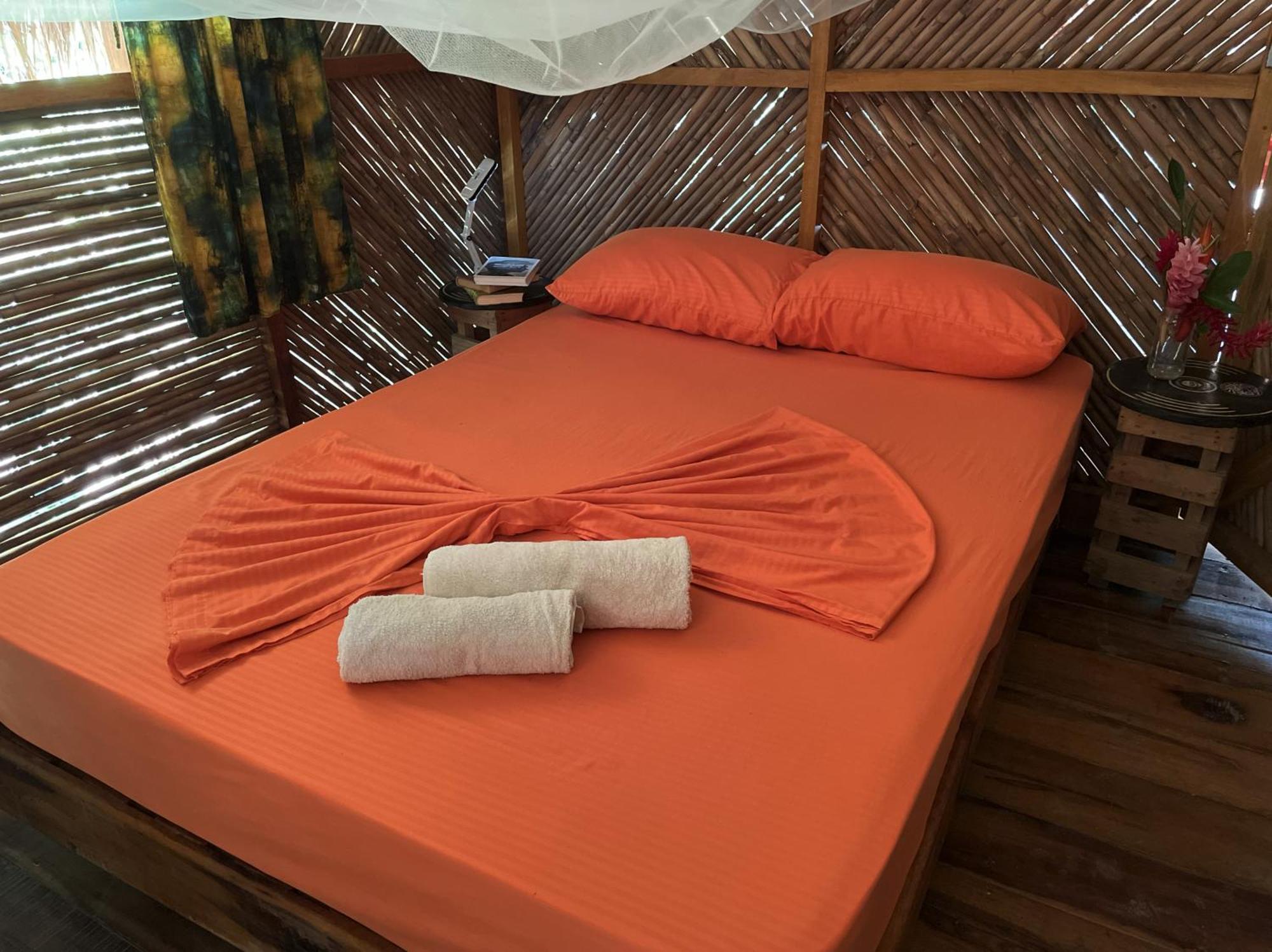 Auberge de jeunesse La Playita Guachaca