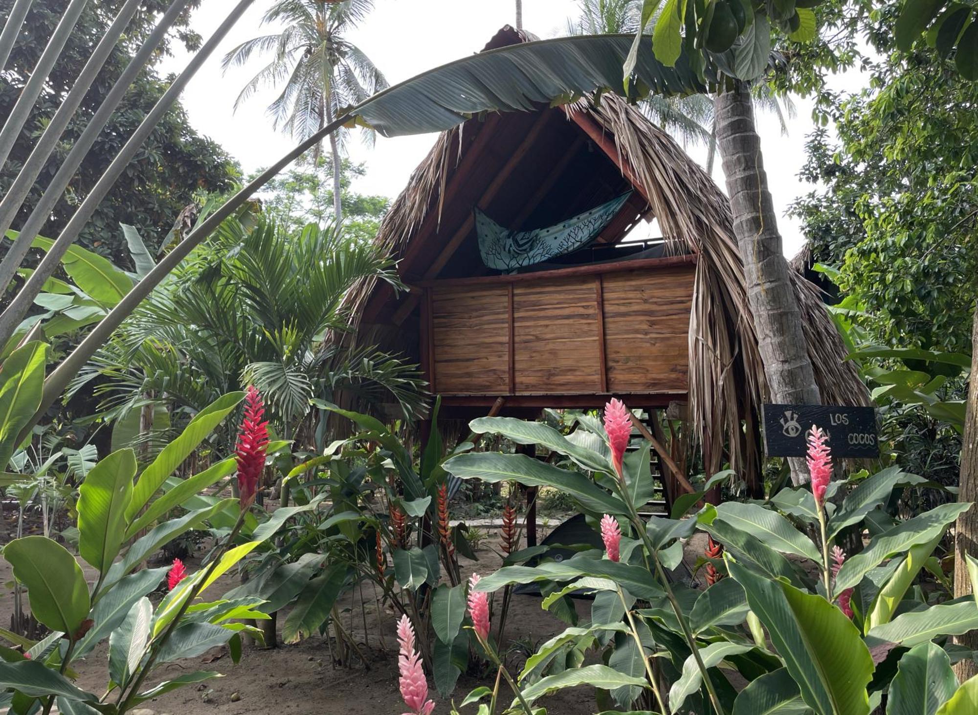 Auberge de jeunesse La Playita Guachaca