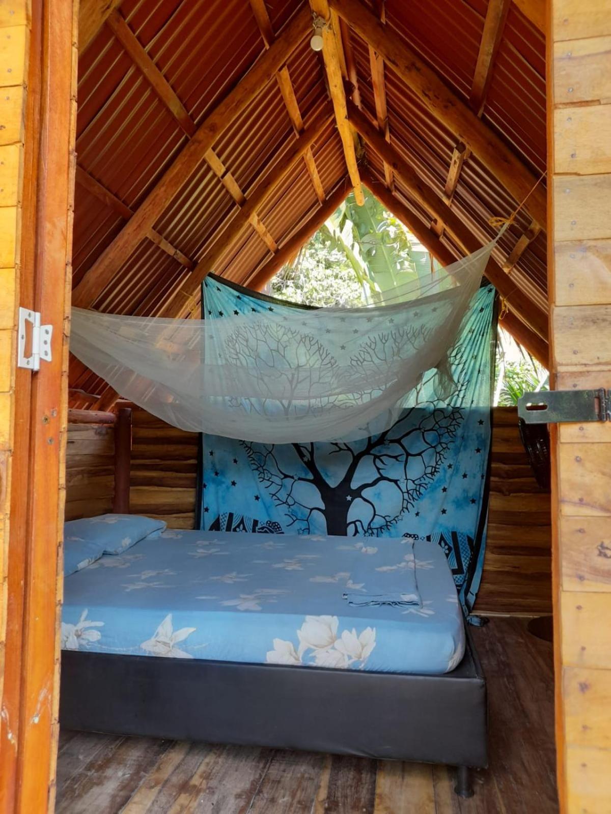 Auberge de jeunesse La Playita Guachaca