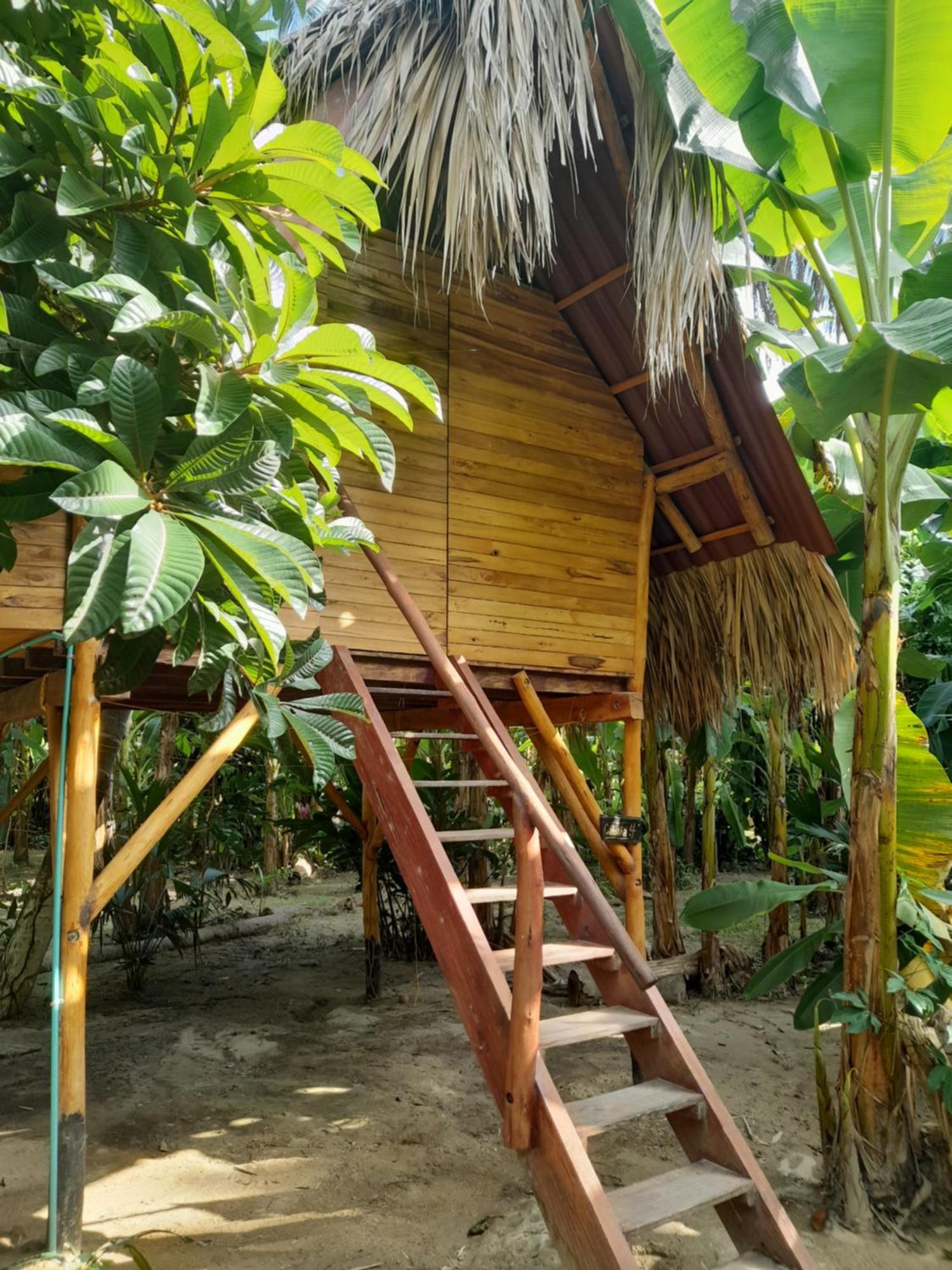 Auberge de jeunesse La Playita